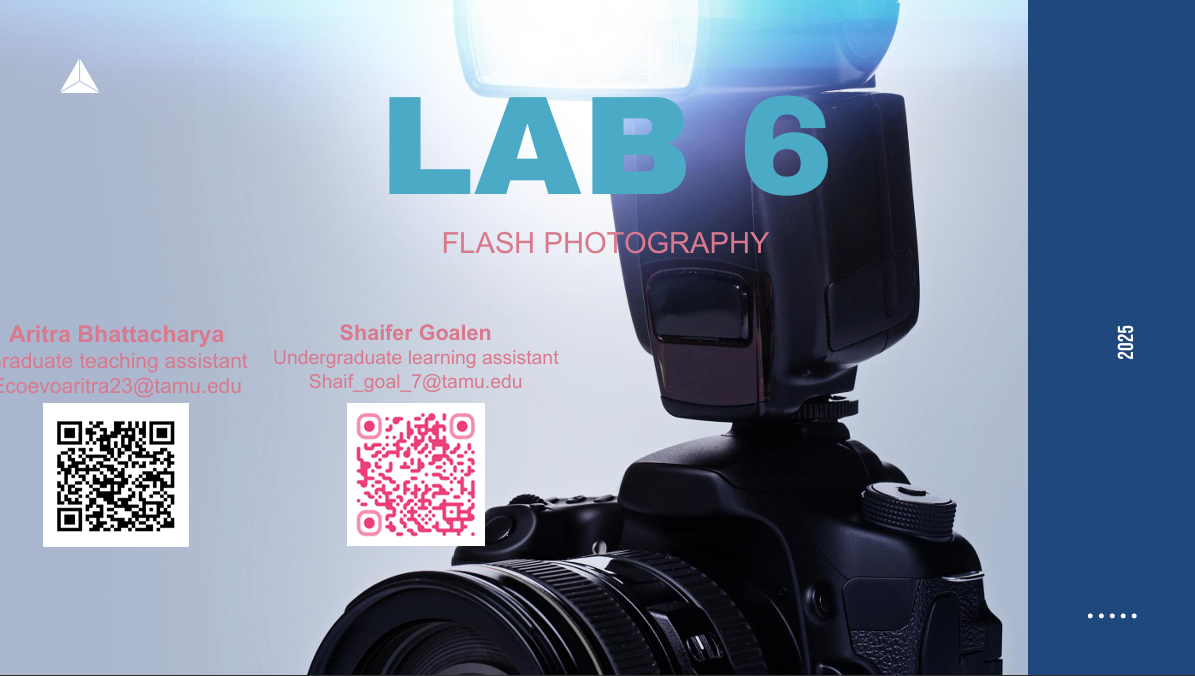 Lab 6 (Flash Photography)
