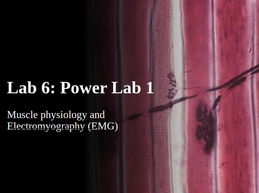 Lab 6 (Powerlab 1)