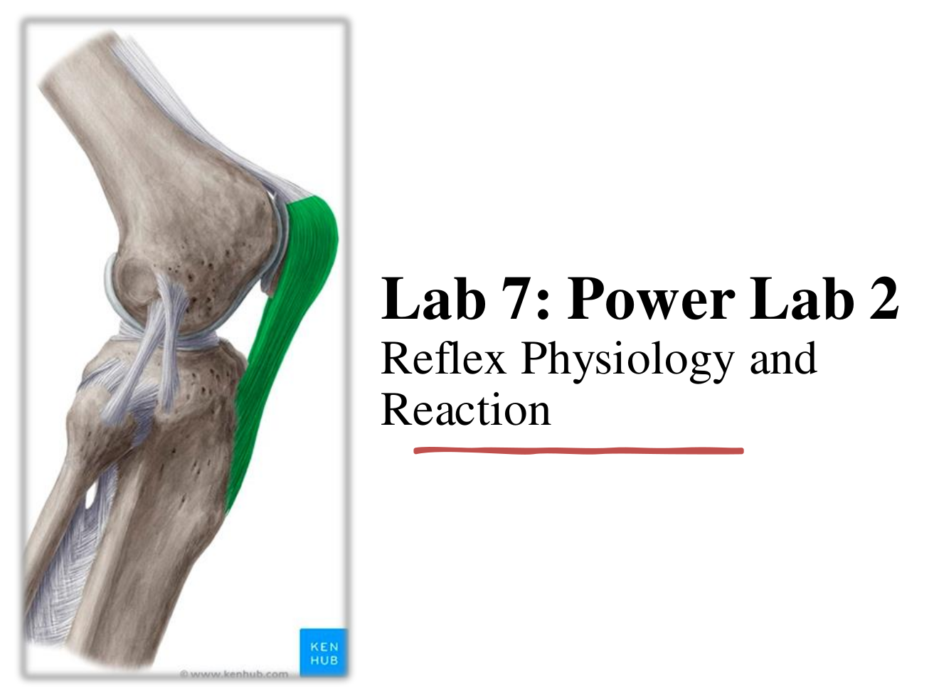 Lab 7 (Powerlab 2)