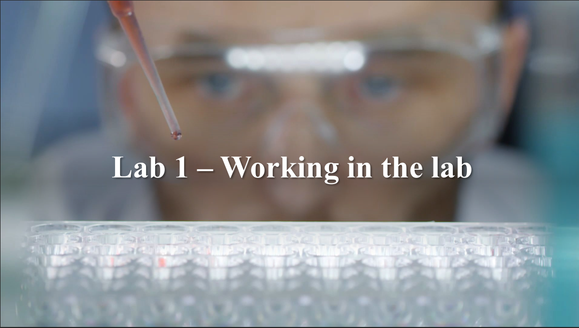 Lab 1 (Working in the lab)