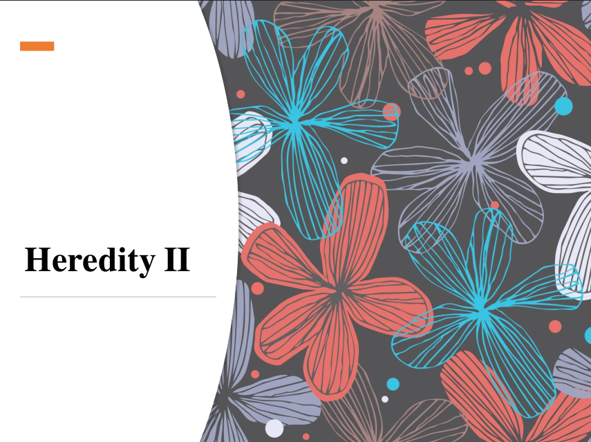 Lab 10 (Heredity 2)