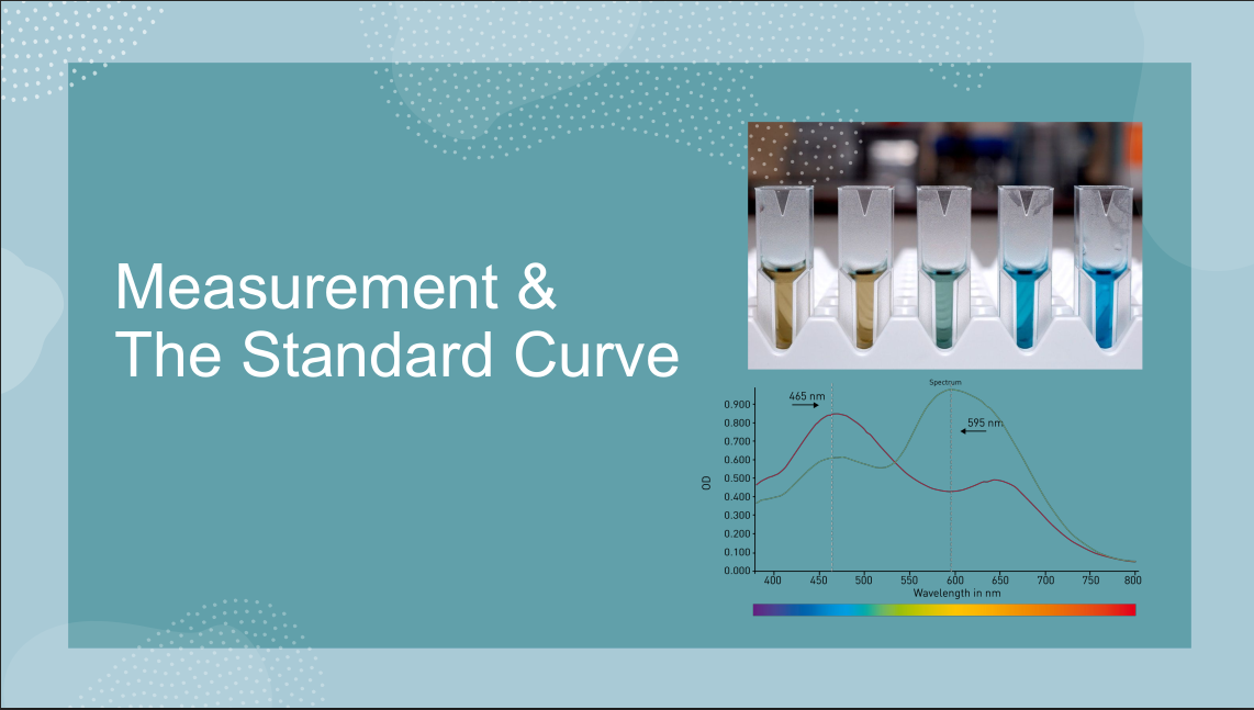 Lab 2 (Standard Curve)
