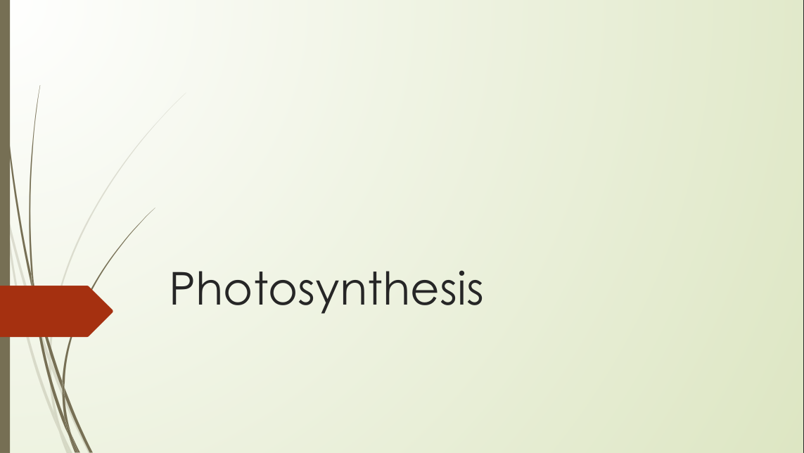Lab 5 (Photosynthesis)