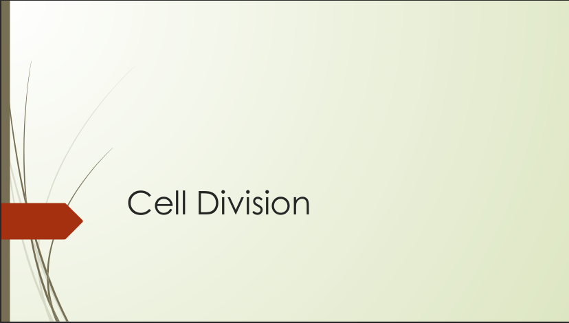 Lab 8 (Cell division & heredity 1)