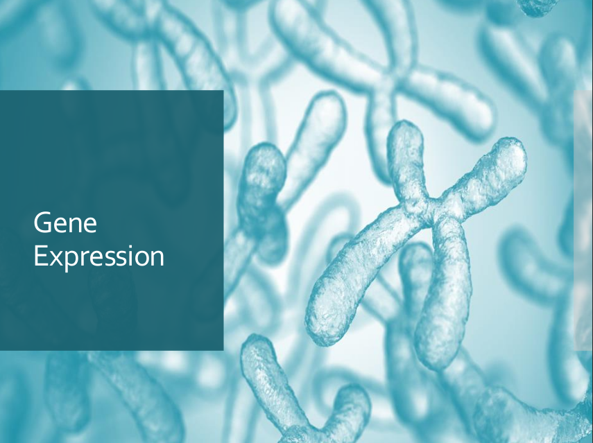 Lab 9 (Gene expression)